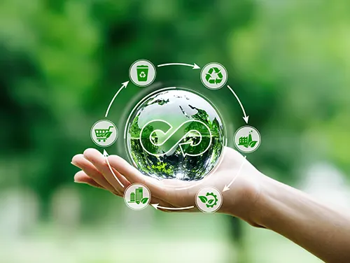 Il paradigma gestionale dell -economia circolare